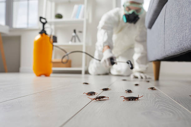 Commercial Kitchen Cockroach Control in Halifax